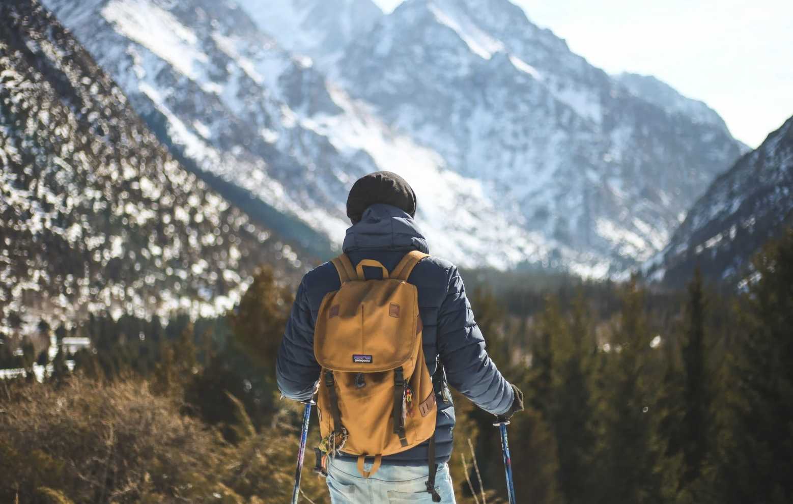 成為自己的內在英雄：榮格分析--認識心靈的豐盛旅程