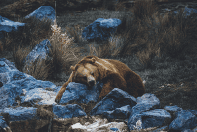 【SAD特輯】季節性情感障礙(SAD)真的讓人很sad