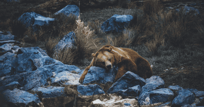 【SAD特輯】季節性情感障礙(SAD)真的讓人很sad