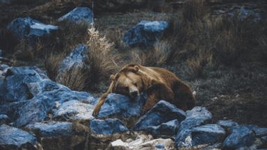 【SAD特輯】季節性情感障礙(SAD)真的讓人很sad