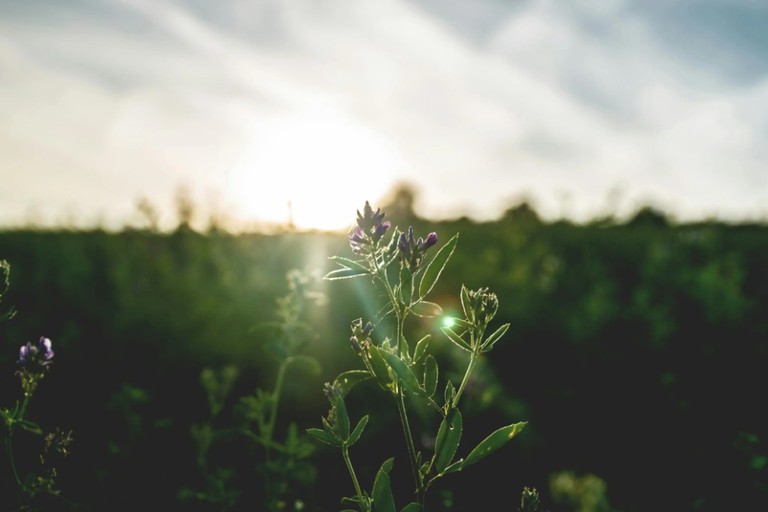 關係的改變是必然