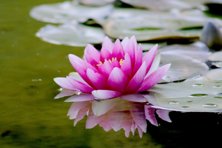 用日常陪伴自己面對無常 