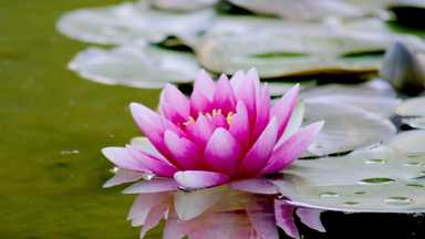 用日常陪伴自己面對無常 