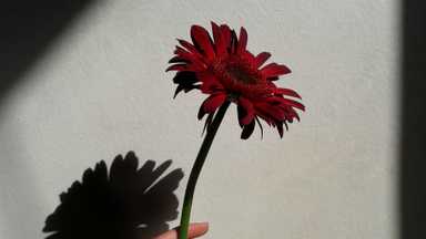 正視你的內在陰影 