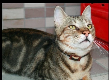 315202540 409983978010262 800420231157783095 n