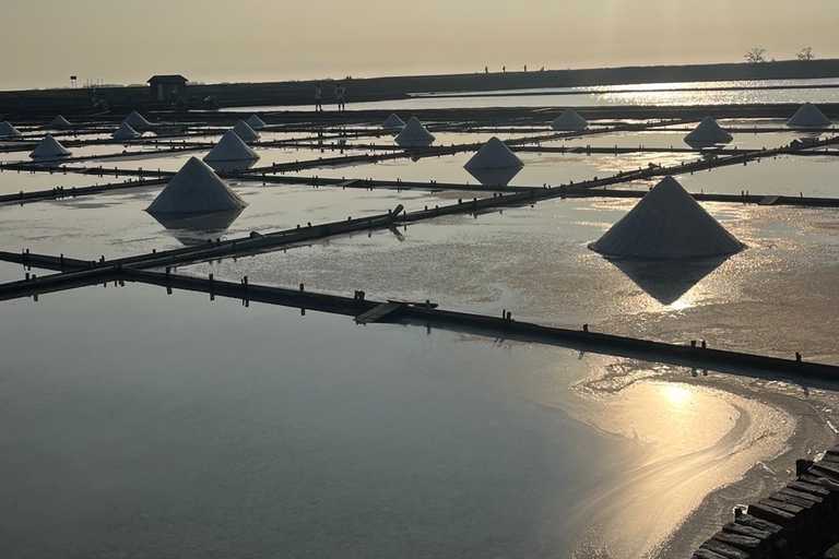 你的動不了、不想動，只是你的「狀態」，不是你的「失敗」