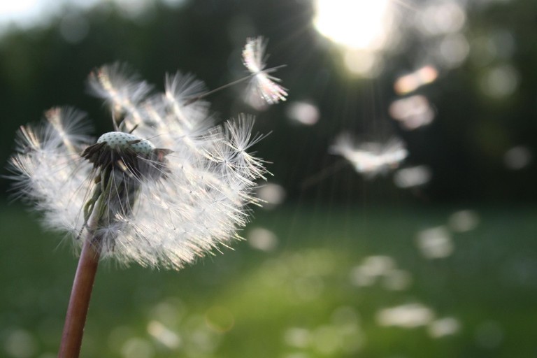 你是否覺得最近世道非常混亂？ 