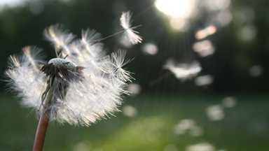 你是否覺得最近世道非常混亂?