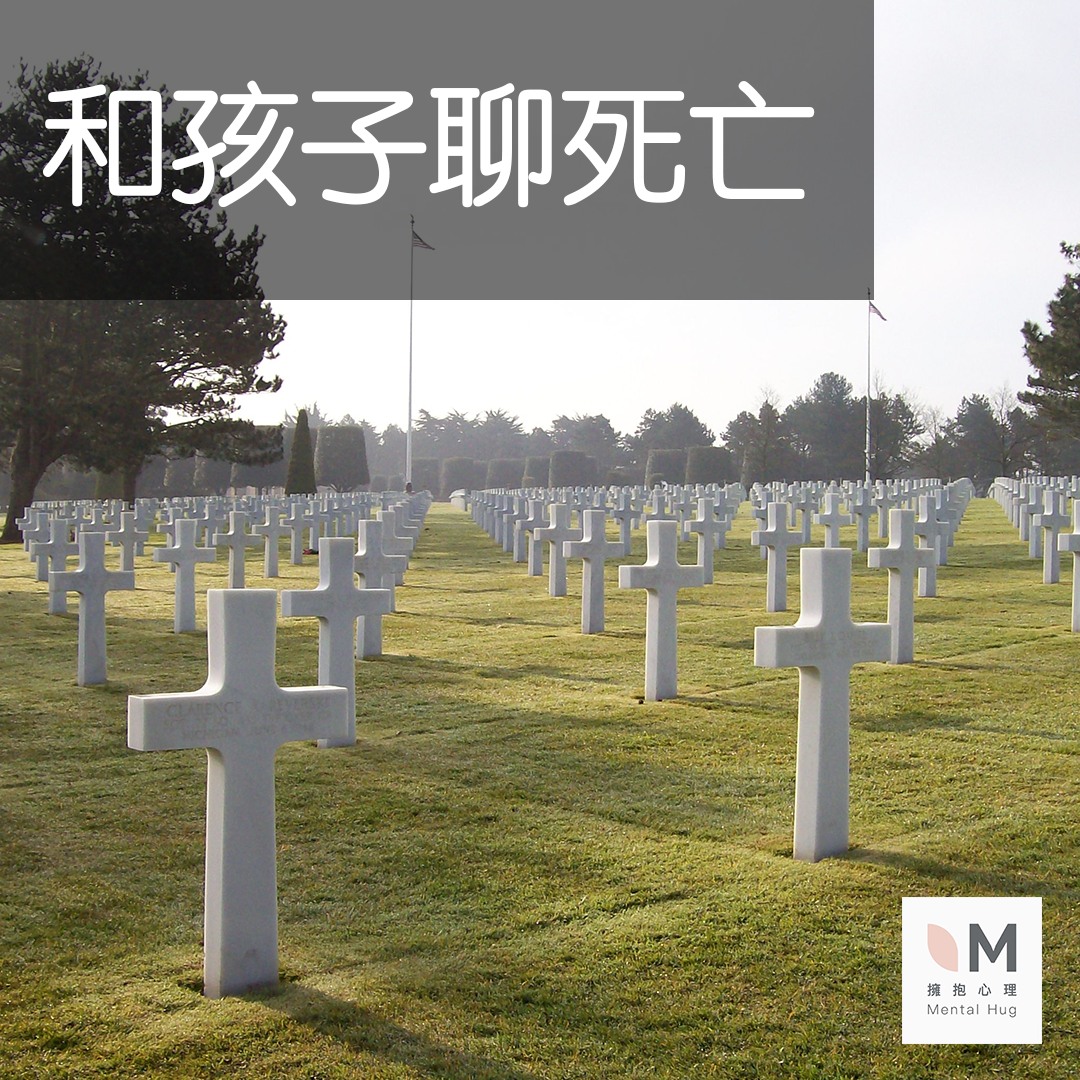 316954258 566196345316617 4735027713241393728 n