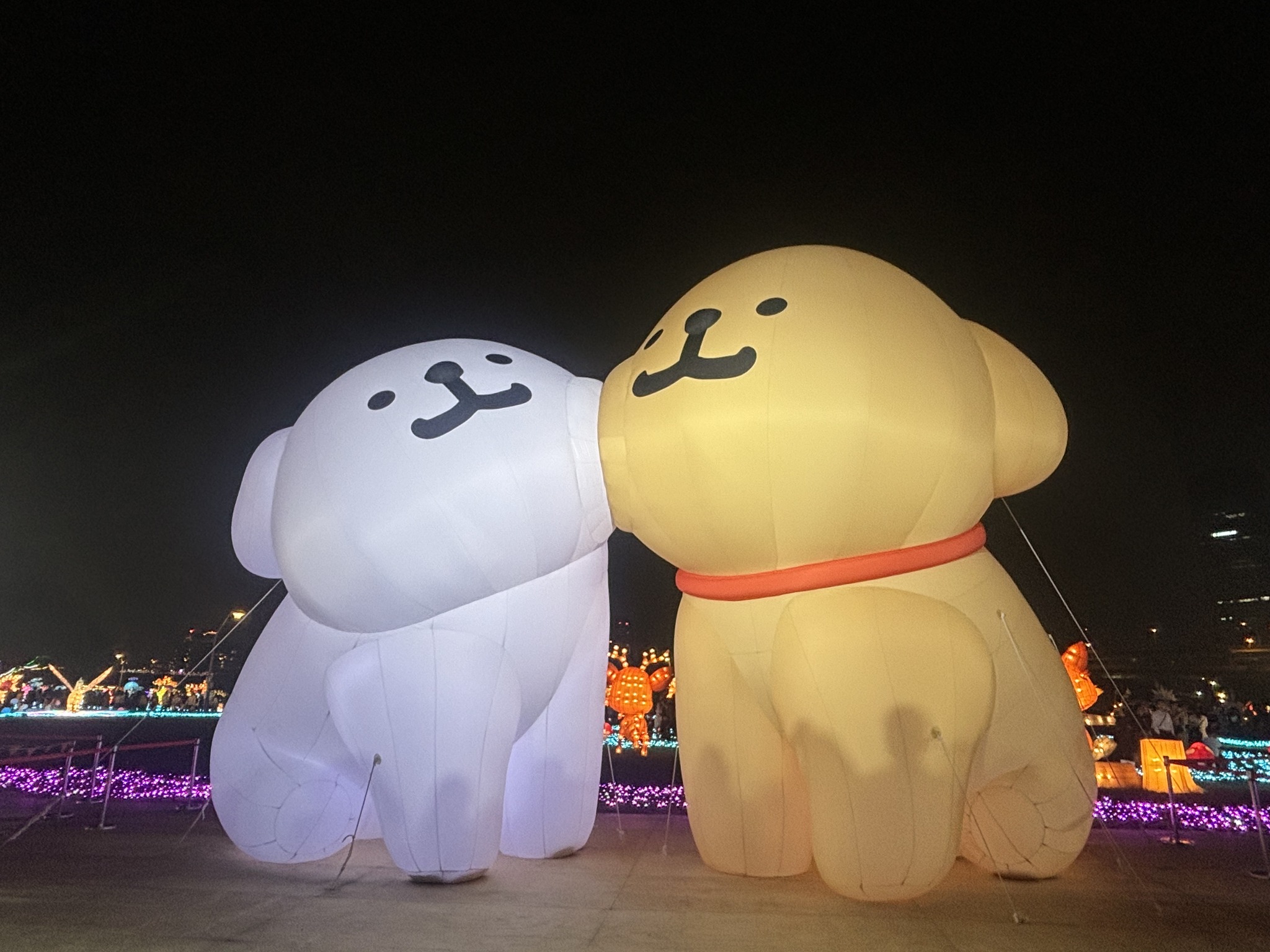 644688433 917017961053943 5244358570963827286 n