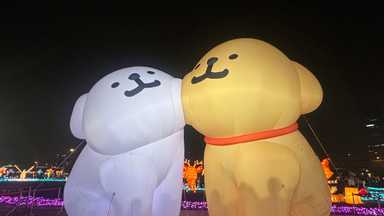 你是真的想被理解，還是期待對方會讀心？