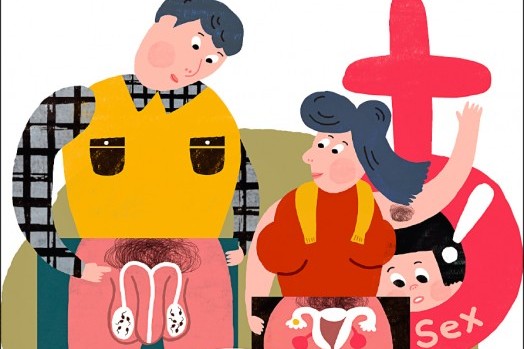 青蘋果的滋味—青少年的家庭性教育