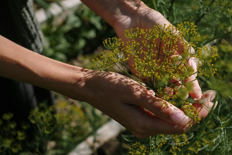 心中有你，就會知道路怎麼走 