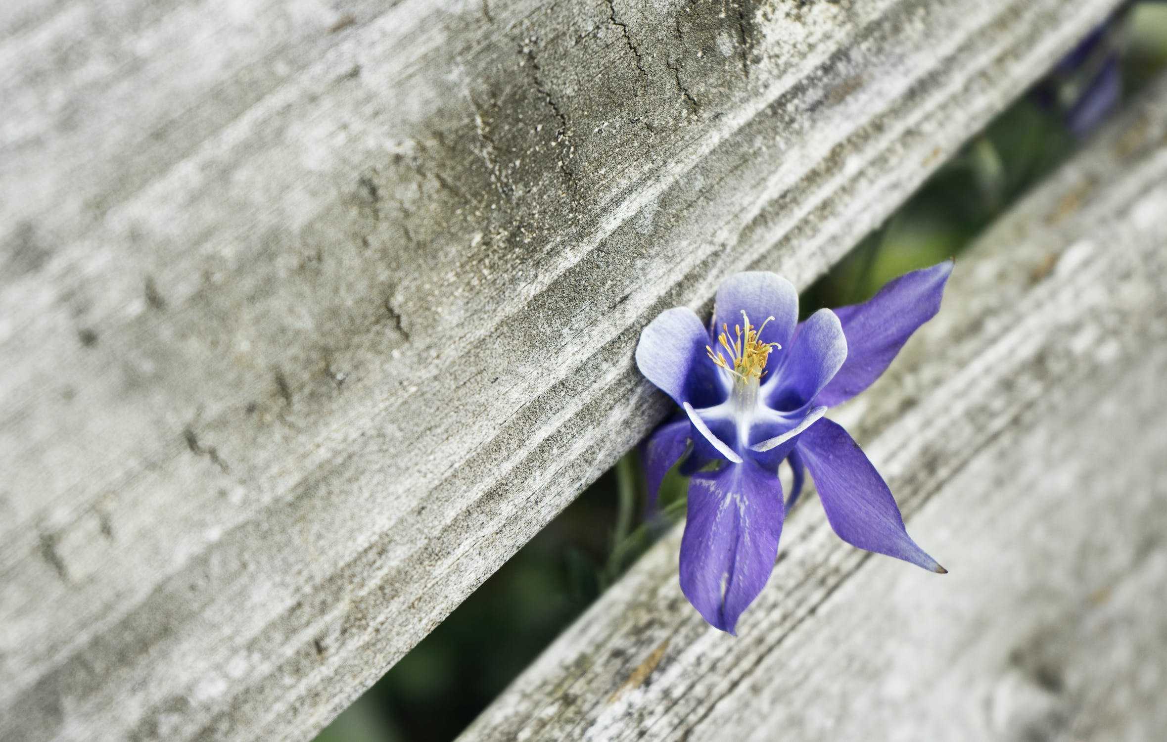 《小女子》解開內在的枷鎖，放自己自由 