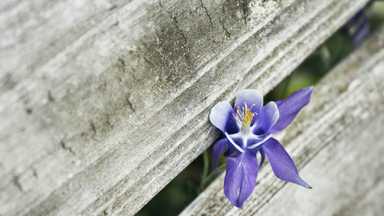 《小女子》解開內在的枷鎖，放自己自由 