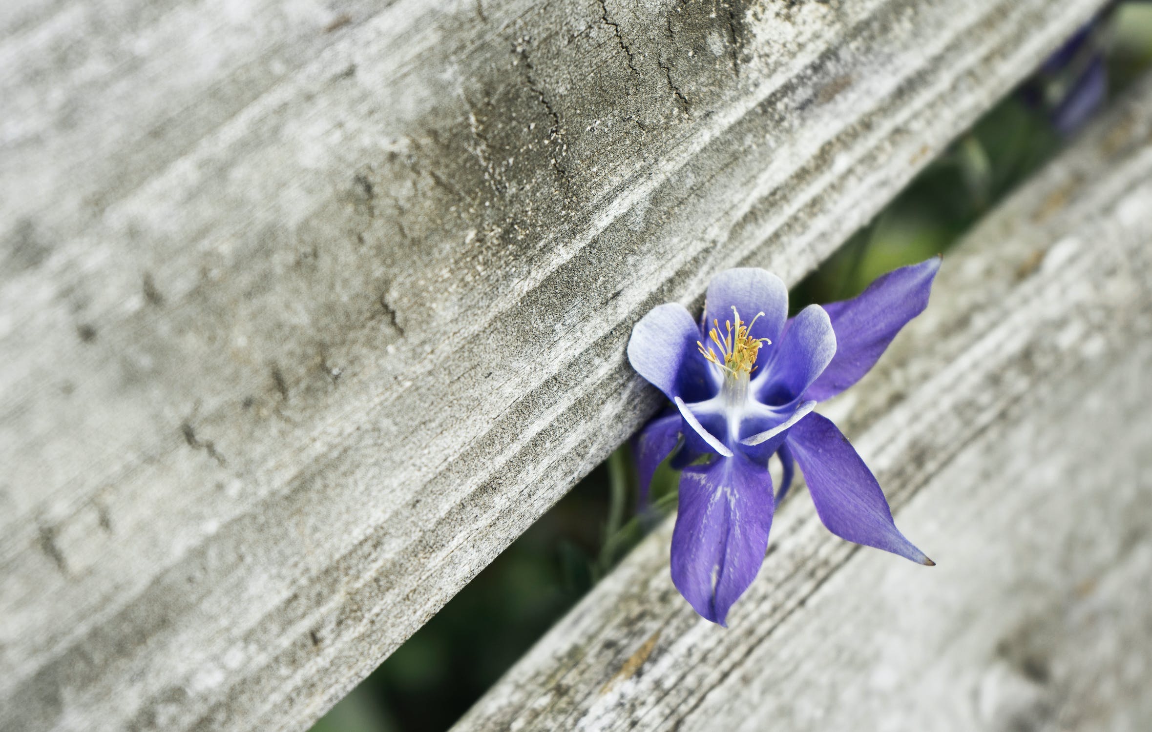 pexels-photo-2884080